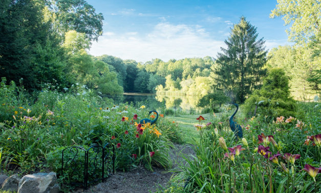 As Time Goes By: Timeless Gardens & Tireless Gardeners
