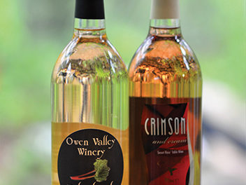 Exploring Owen Valley Wines