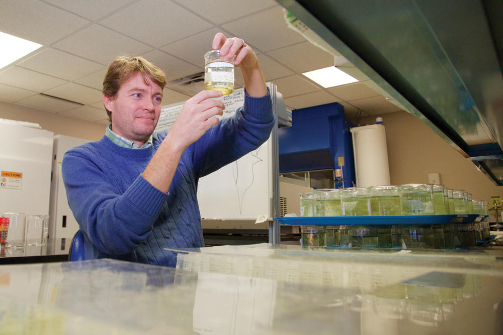 IU Photobioreactor Formula: Flue Gases + Algae = Fertilizer