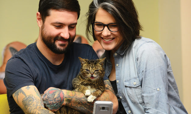 Lil Bub—Still Going Strong & Starring in a New Movie!