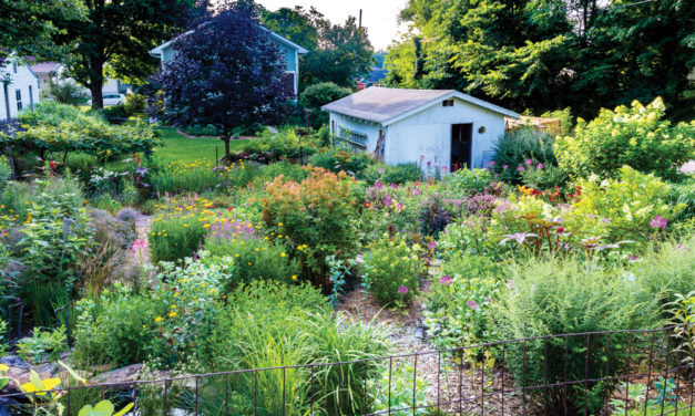 Bloom’s Greatest Gardens: Laura Ley and Barry Kern (June/July 2017)