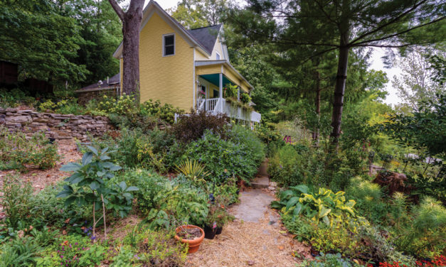 Gardens Well Planned (PHOTO GALLERY)