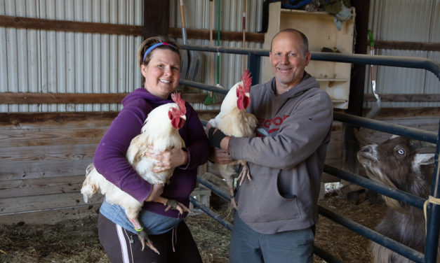 Farm Animal Sanctuary Moves but Mission Remains the Same
