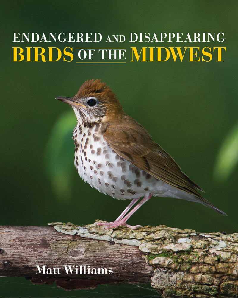 IU Press book Endangered and Disappearing Birds of the Midwest.