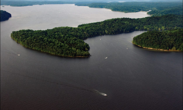 Friends of Lake Monroe Working to Improve Health of Local Watershed