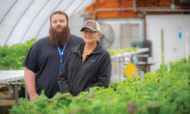 Urban Farming Program: Where Stone Belt Clients Learn Lasting Job Skills