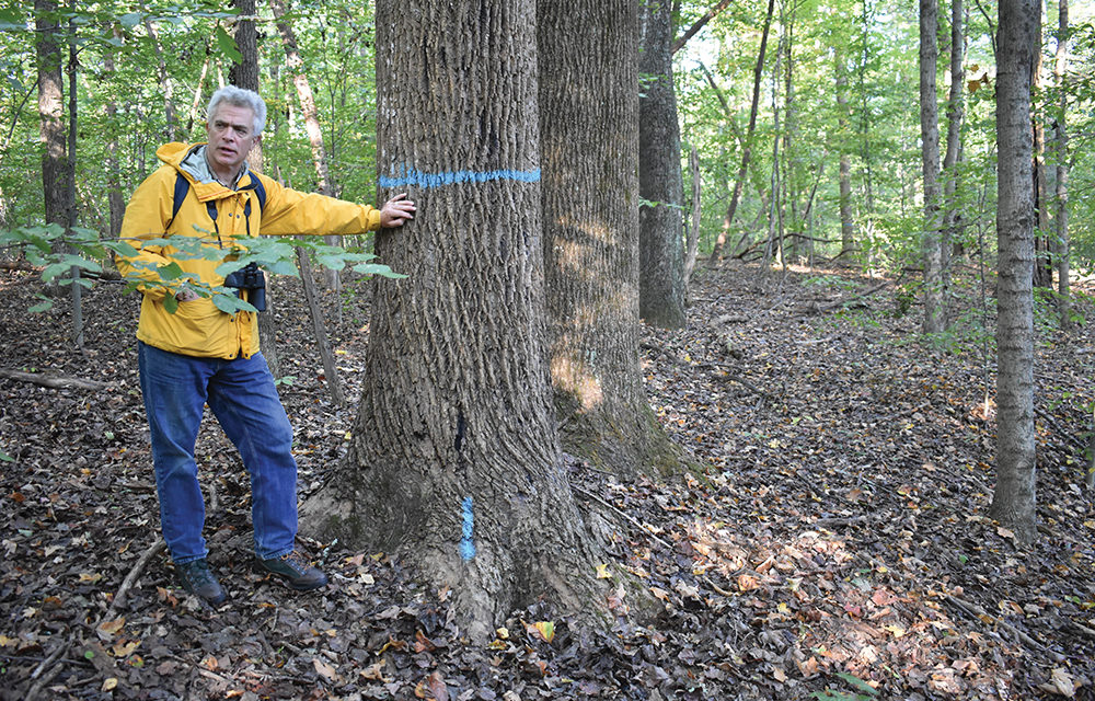 Indiana Forest Alliance—Working to Preserve Indiana’s Native Ecosystem
