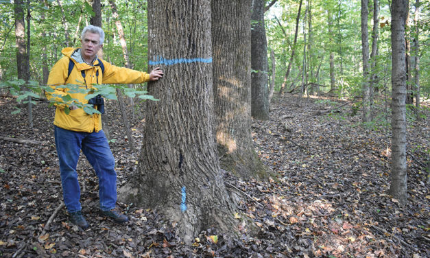 Indiana Forest Alliance—Working to Preserve Indiana’s Native Ecosystem