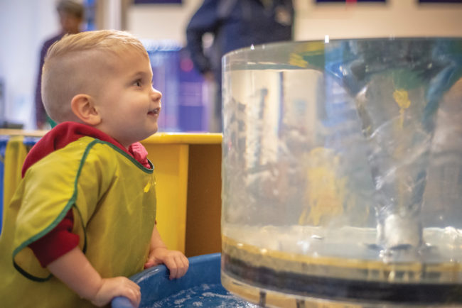 Chandler Pursell, 2, Bloomington, playing at a variety of interactive exhibits at WonderLab. Photos by Rodney Margison