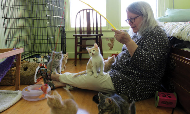 Volunteers Save Lives Fostering Baby Animals