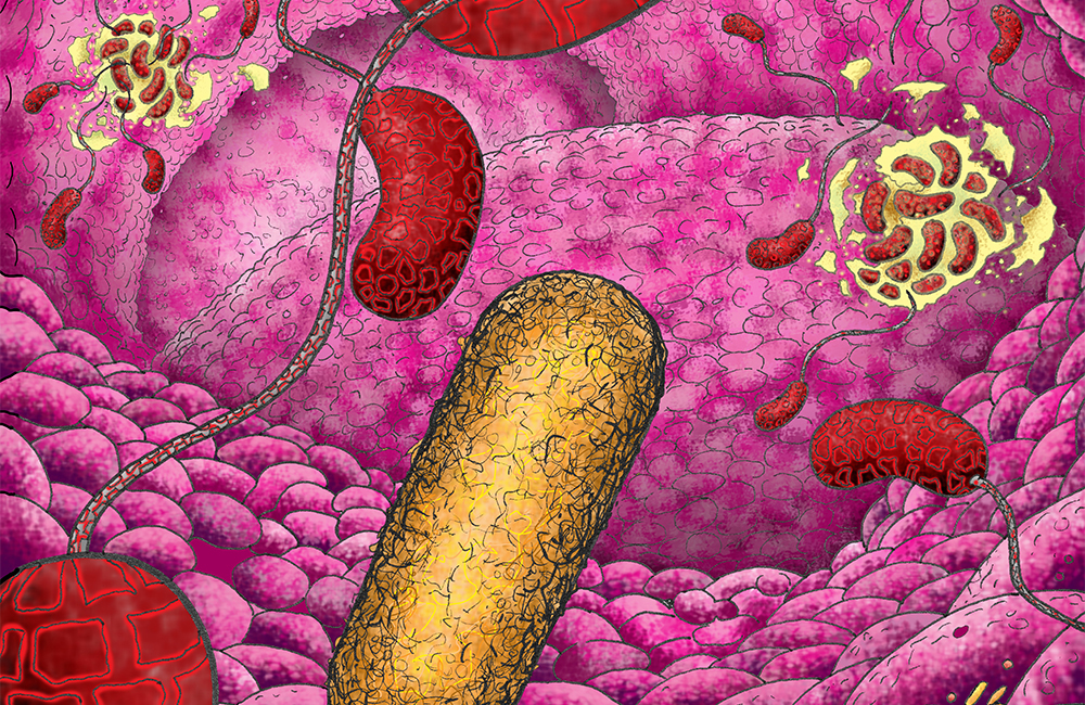 Science Prof Creates Art to Make Biology Enjoyable