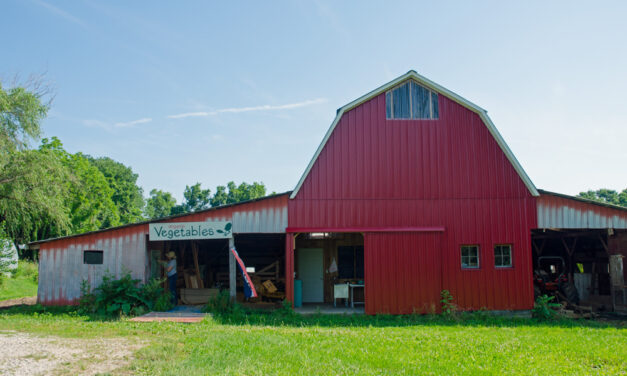 Local Farm Stand Offers Food on Honor System