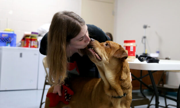 People Adopt Kinds of Dogs They Didn’t Know They Wanted (PHOTO GALLERY)