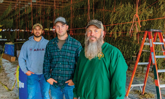 Hoosier Farmers Show New Interest in Hemp