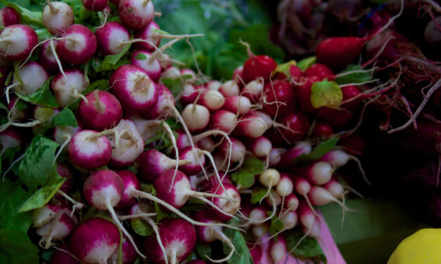 Bloomington Winter Farmers’ Market Opens at Switchyard Park