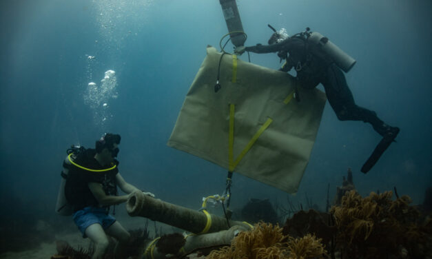 IU Researchers Establish Living Museums in the Sea