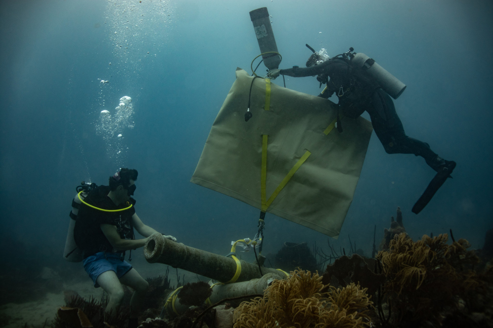 IU Researchers Establish Living Museums in the Sea