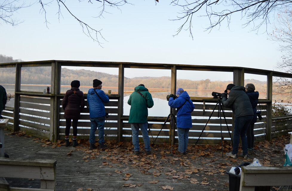 Sassafras Audubon Society: Bird Activists for 50 Years