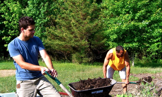 Bloomington Community Orchard Still Growing 10 Years Later