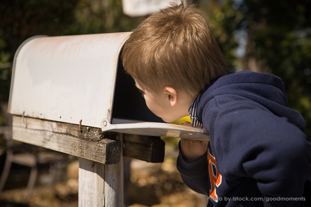 Check Your Mailbox: Bloom’s June/July Issue Is Out for Delivery