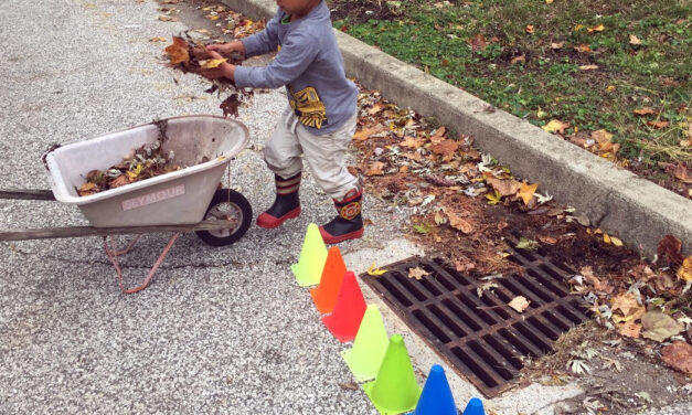 City of Bloomington Announces Start of Annual Leaf Collection Program