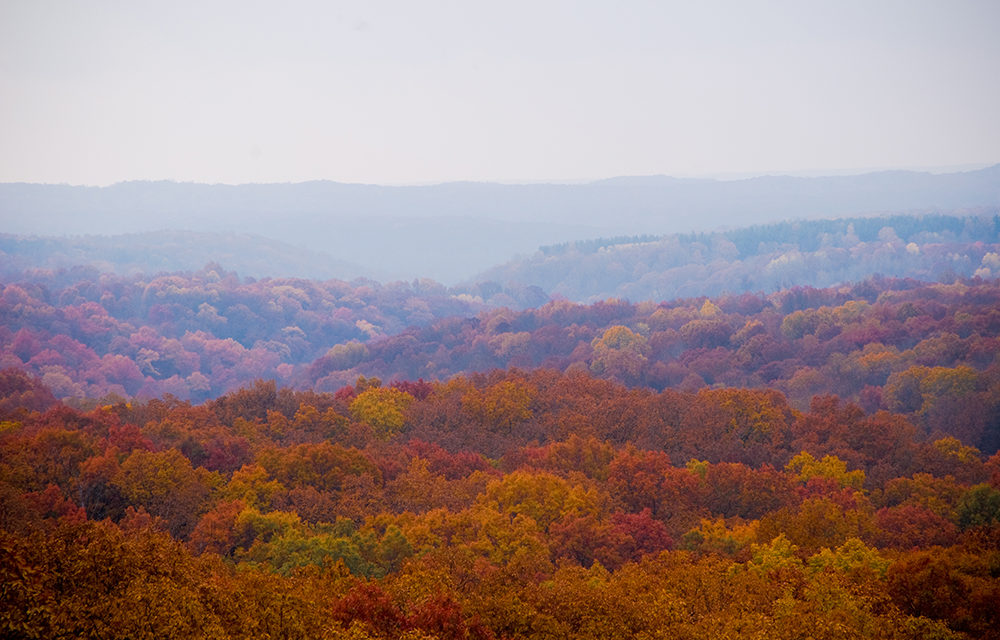 League of Women Voters and Citizens’ Climate Lobby Host Forum on Climate Change