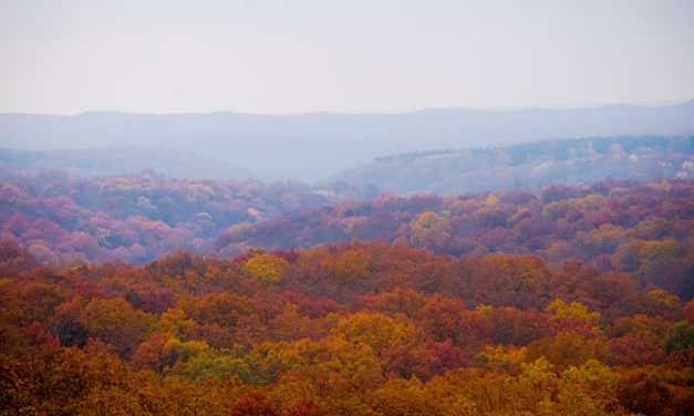 League of Women Voters and Citizens’ Climate Lobby Host Forum on Climate Change