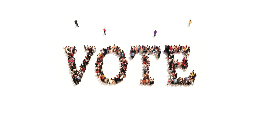 VOTE: 23 Experts Tell What’s At Stake for Bloomington & The Country (COVER STORY)