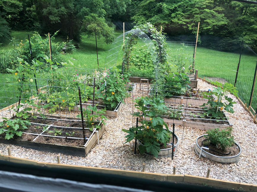 Backyard Farming Popular in a Pandemic