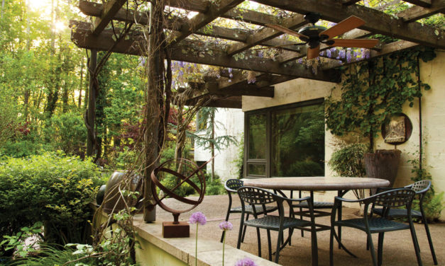 A Modern Home with a Sense of History