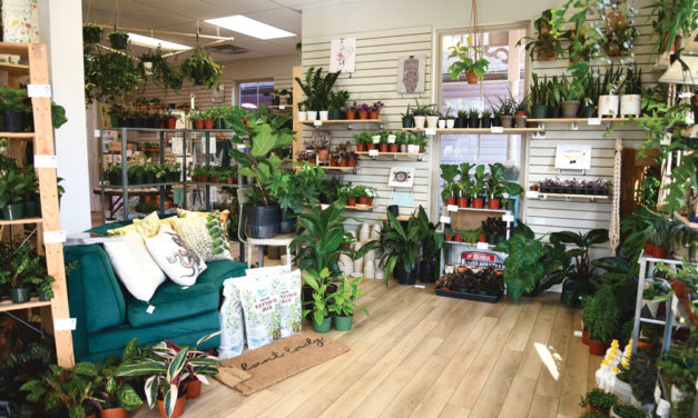 B-town’s New Plant Boutique : ‘oak.’
