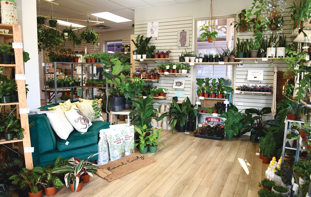 B-town’s New Plant Boutique : ‘oak.’
