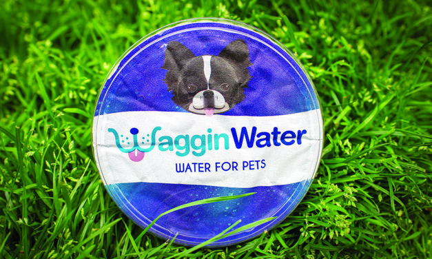 Waggin Water: For Dogs on the Go