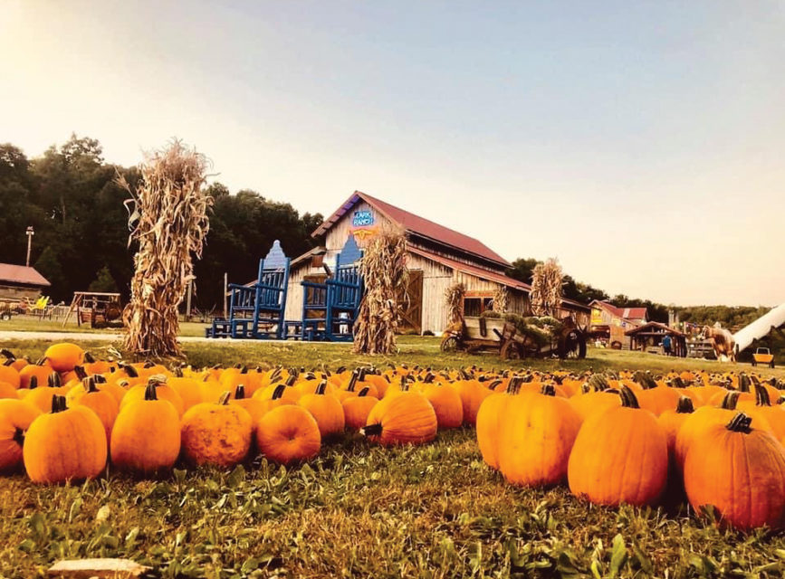 Lark Ranch A Fall FamilyDay Getaway Bloom Magazine