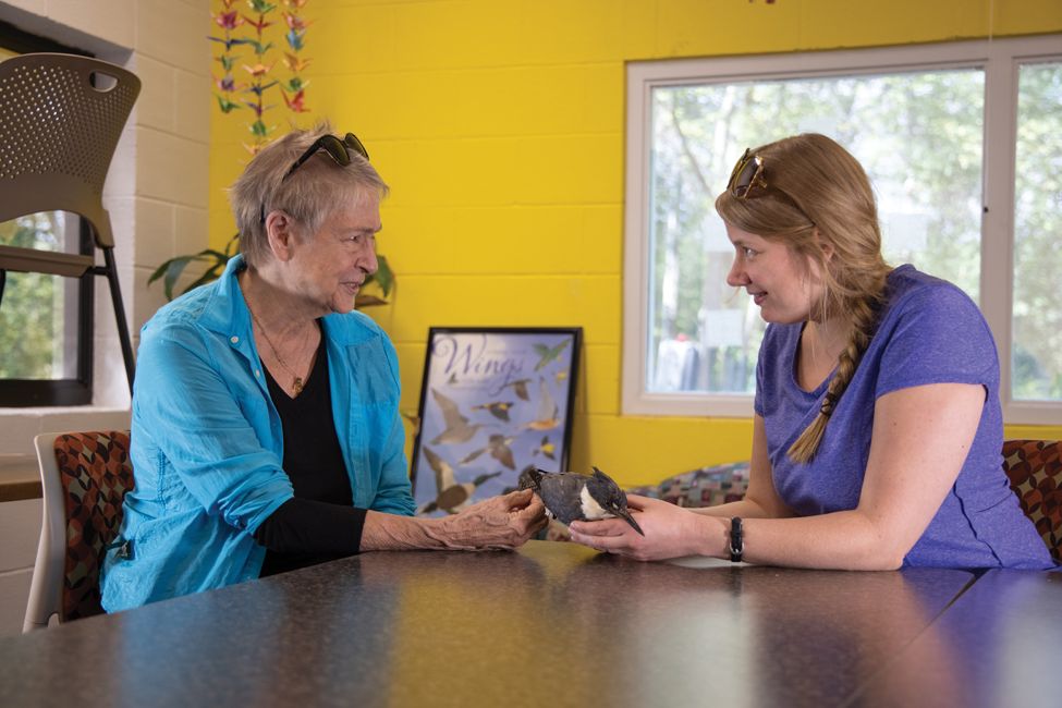 25% of Eastern Birds Are Gone: IU’s Ketterson Lab Explores Why