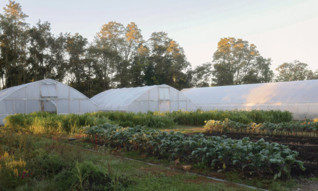 The IU Campus Farm: Food for Thought