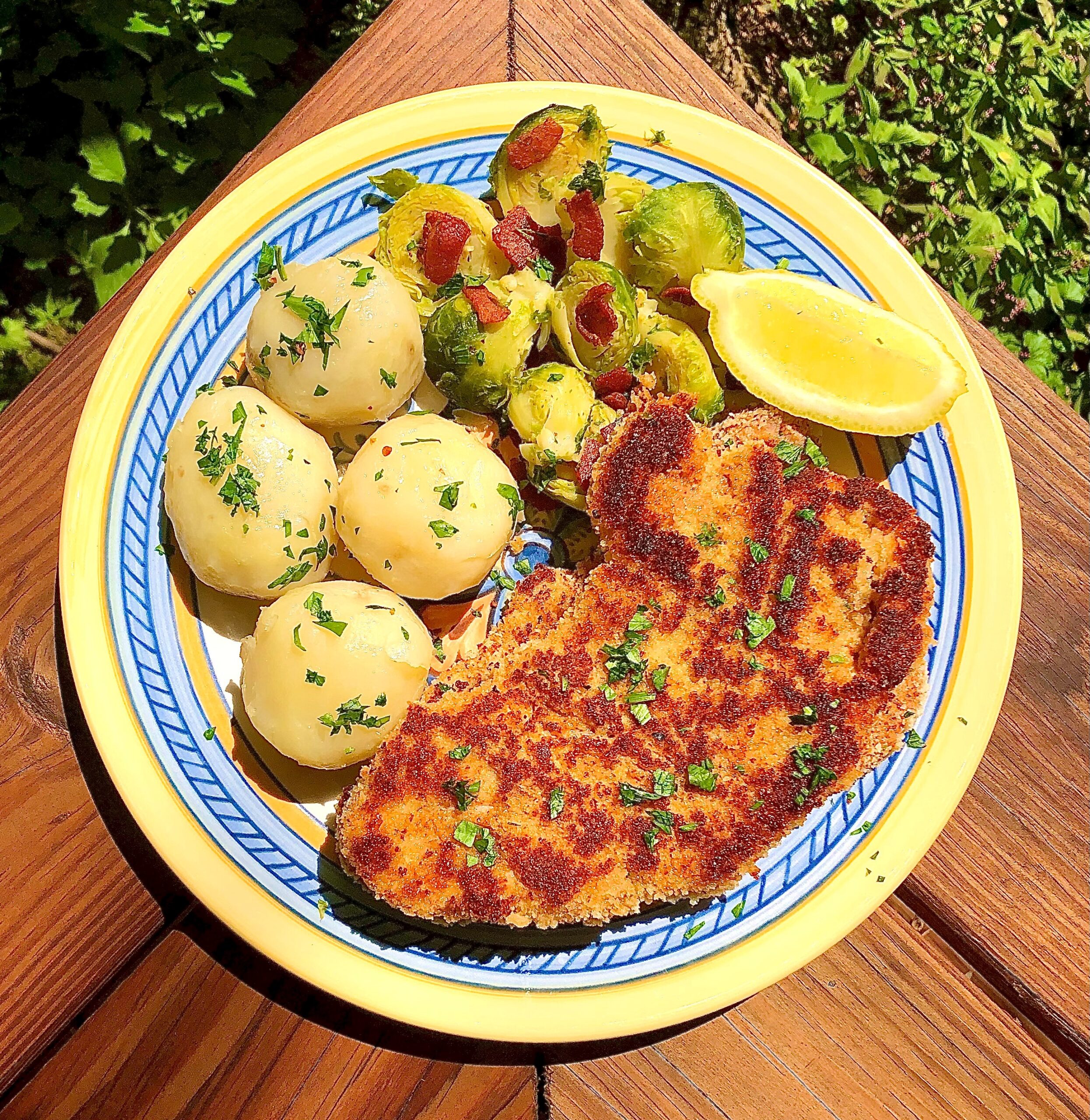 Dishes of the WorldâSchnitzel